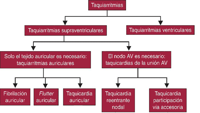 Proyecto ITACA